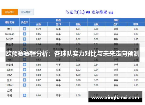 欧预赛赛程分析：各球队实力对比与未来走向预测