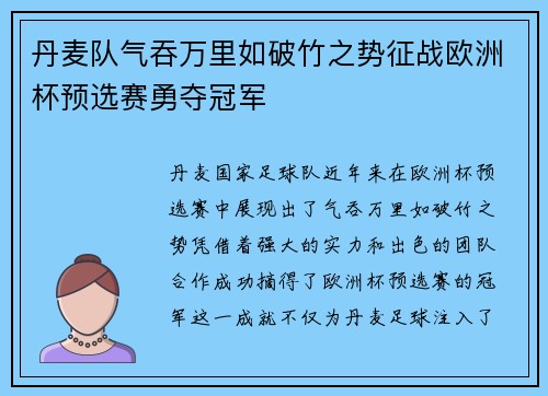 丹麦队气吞万里如破竹之势征战欧洲杯预选赛勇夺冠军